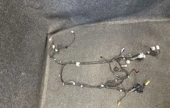 Other wiring loom