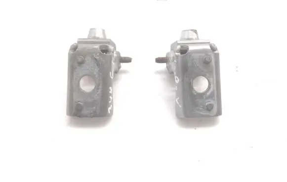 Peugeot 206 Rear door hinge set 