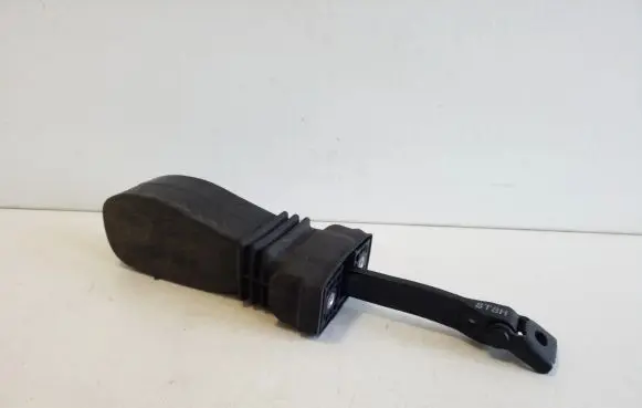 Audi S5 Facelift Rear door check strap stopper 8T8839249C