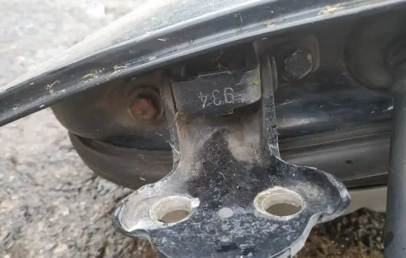 Rear door lower hinge