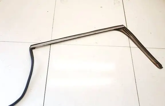 Volvo V70 Rubber seal rear door 31253173