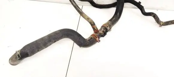Ford Focus Engine coolant pipe/hose