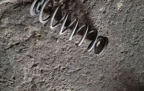 Skoda Octavia Mk2 (1Z) Rear coil spring