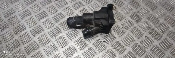 Thermostat/thermostat housing