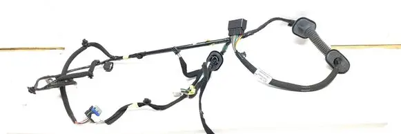 Front door wiring loom
