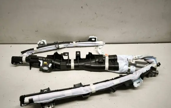 Lexus RX V Roof airbag TG14E04001