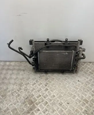 Dacia Spring Radiator set 921005444R 214814715R 214109411R