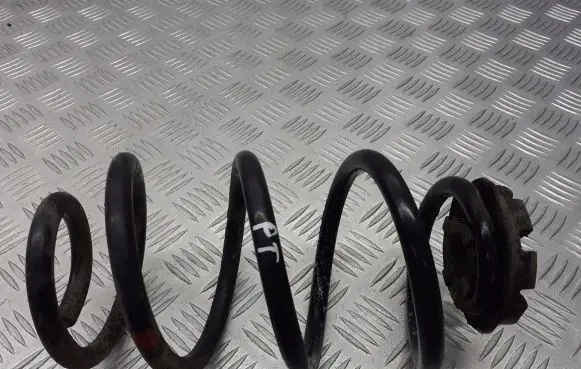Renault Modus Rear coil spring