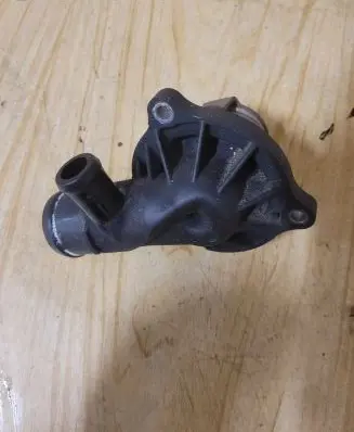 Thermostat/thermostat housing