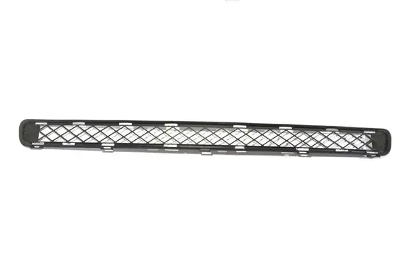 Toyota RAV 4 (XA30) Front bumper lower grill 5311242040 PPEPTD20 TS0P6