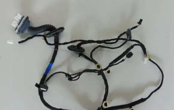 Rear door wiring loom
