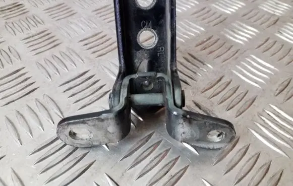 KIA Sorento Rear door lower hinge