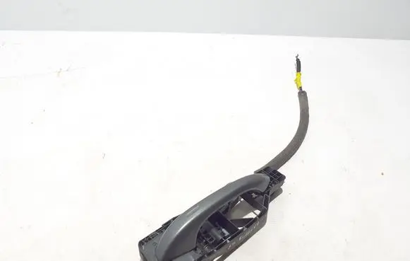 Porsche Cayenne (9Y0 9Y3) Rear door exterior handle 