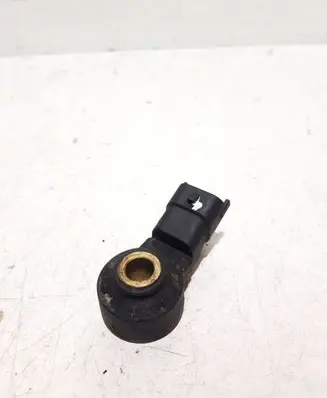 Porsche Cayenne (9PA) Detonation knock sensor 0261231173