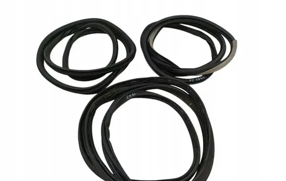 Renault Laguna III Rubber seal front door (on door) 