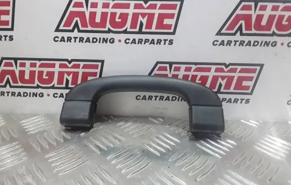 BMW X1 E84 Front interior roof grab handle 91435167