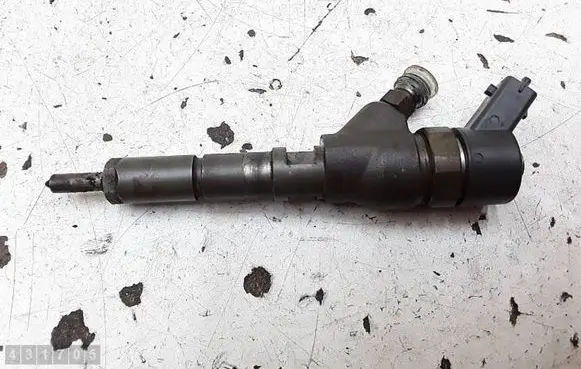 Citroen C5 Fuel injector 0445110008