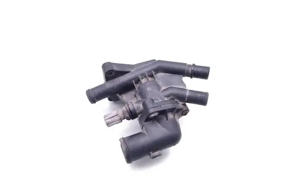 Thermostat/thermostat housing
