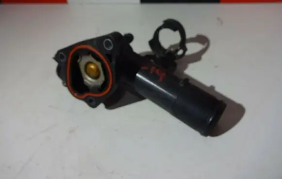 Thermostat/thermostat housing