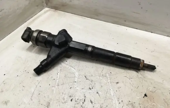 Nissan Navara D40 Fuel injector D024180017191500