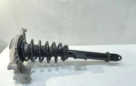 Tesla Model 3 Front shock absorber with coil spring 134436100D CFP240299A1817