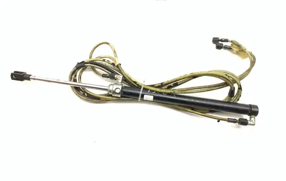 Tailgate/trunk strut/damper