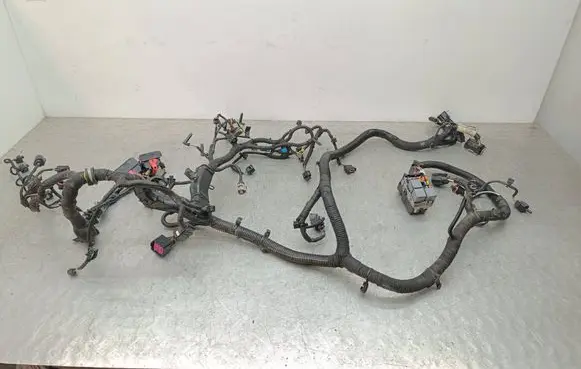 Engine installation wiring loom