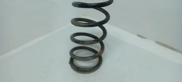 Hyundai Santa Fe Rear coil spring