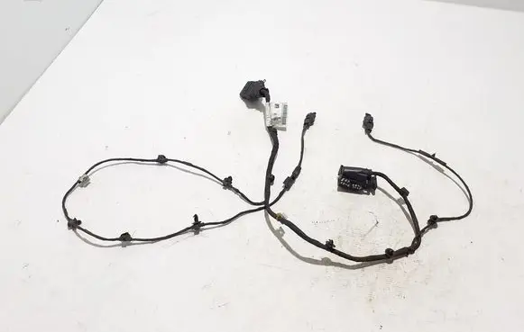 Mercedes-Benz EQS V297 Other wiring loom A2975405801