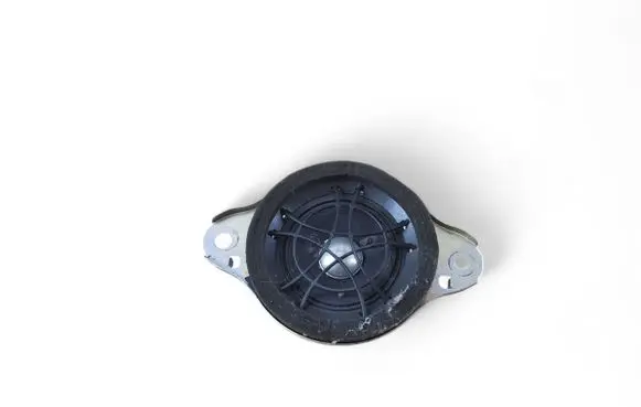 Lexus NX Panel speaker 8616078020