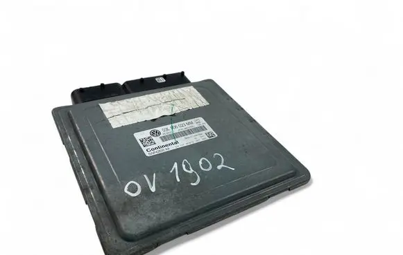 Engine control unit/module ECU