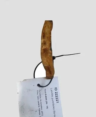 Ford S-MAX Fuel Injector clamp holder
