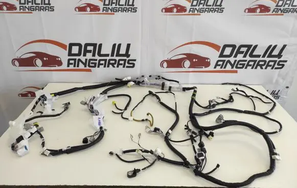 Toyota RAV 4 (XA50) Tailgate/trunk wiring harness 8216242W20 C004210310