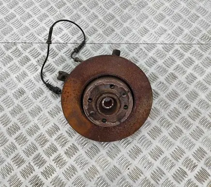 Renault Zoe Front wheel hub 400156124R