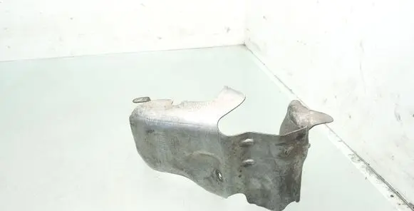 Exhaust heat shield