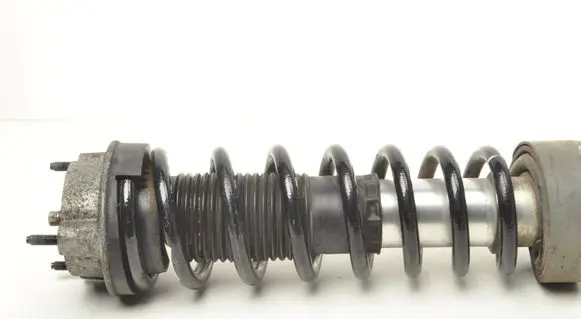 Mercedes-Benz AMG GT R190 C190 Rear shock absorber/damper A1903200500