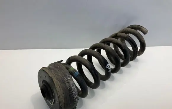 Mercedes-Benz CLS C219 Rear coil spring