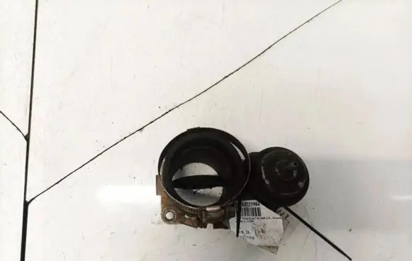 Nissan King Cab, Navara Throttle valve