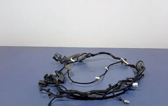 Other wiring loom