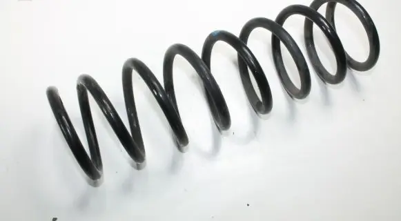 Ford Focus Rear coil spring