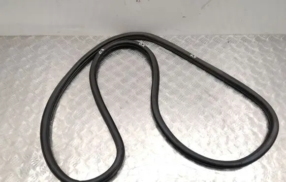 Volkswagen Polo VI Front door rubber seal 