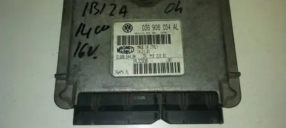 Seat Ibiza III (6L) Engine control unit/module 036906034AL 2AL3C5EBB 6160064404