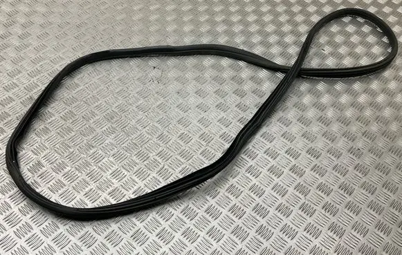 Peugeot 3008 I Rubber seal front door (on door)