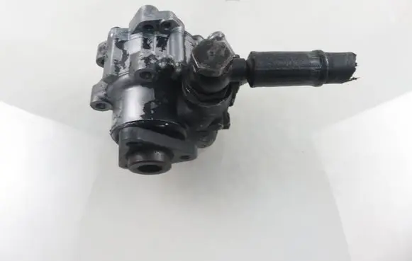 Volkswagen PASSAT B5.5 Power steering pump 