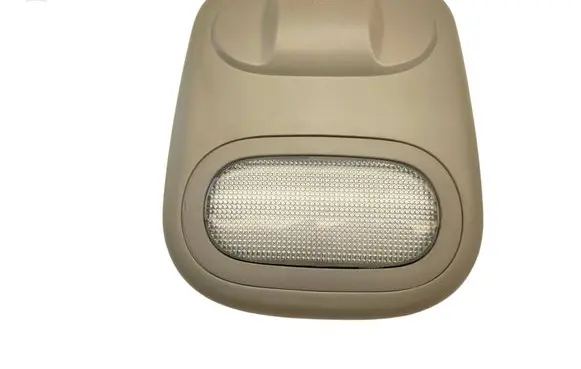 Renault Trafic II (X83) Front seat light 91167231 8200094458