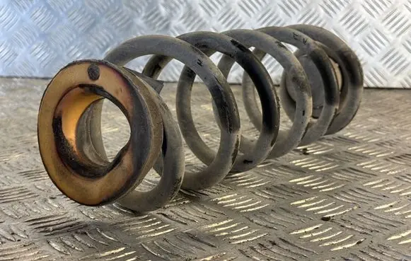 Rear coil spring