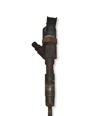 Renault Laguna II Fuel injector 0445110021