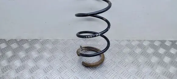 Front coil spring