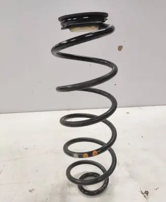 Rear coil spring