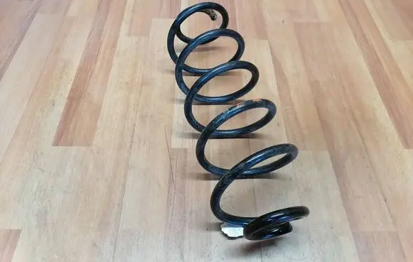 Rear coil spring